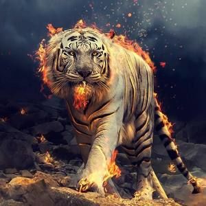 Meet your Posher, Alladin